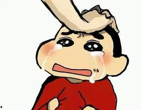 救命，哭包婆婆她扛着野猪下山了,哭包婆婆的野猪下山奇遇