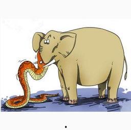 贪心不足蛇吞象,揭秘欲望的无限膨胀与后果