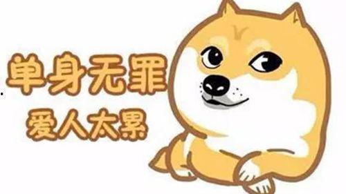 单身的好处和坏处,探寻利弊之间的平衡之道